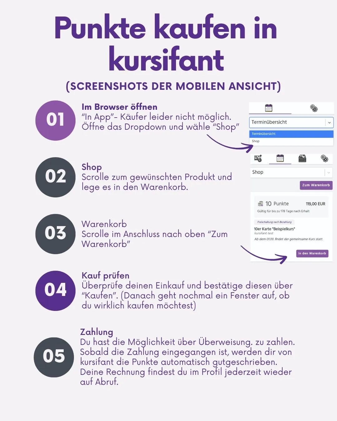 Punkte kaufen in kursifant: 5 Schritte – Browser öffnen, Shop wählen, Warenkorb, Kauf prüfen, Zahlung